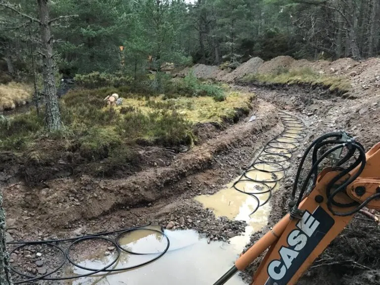 Excavator digging a trench in forest area.